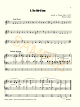 Hymn Improvisations for the Church Year  by Robert Jordahl - £13.75 GBP