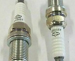 2 Genuine Briggs &amp; Stratton 491055 Spark Plug For Champion RC12YC 14 HP ... - $15.79