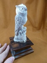 (OWL-W19) white gray Horned Owl shed ANTLER figurine Bali detailed carvi... - $233.79