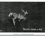 RPPC Bambi Deer Takes a Dip Lakewood Wisconsin WI 1948 Postcard J2 - $6.88