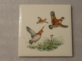 Pheasants Birds Hunting Print Ceramic Porcelain Art Tile Wall Decor - $17.82