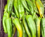 Anaheim Chile Hot Pepper 50 Seeds Non-Gmo Variety Sizes - $8.99