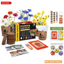 Indoor Daisy Garden Starter Kit for Home Gardening with Tools and Seeds - $32.62