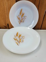 Vintage Fire King Oven Ware Wheat Salad Plates 7¼&quot;D Set of 4 / FREE SHIP... - $729.06 MXN