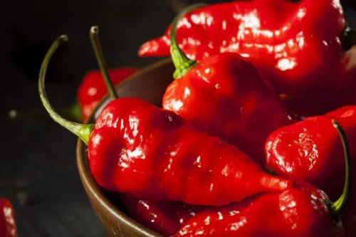 50 Ghost Pepper Seeds To Plant The Hottest Peppers Add Amazing Flavor Fresh Seed - £14.53 GBP