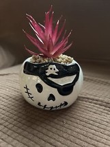 Happy Halloween- Pirate Skull Mini Succulent - £8.75 GBP