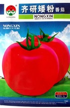 300 Seeds Big Pink Dwarf Tomato Organic Sweet Vegetable Fruit Beautiful - $7.11