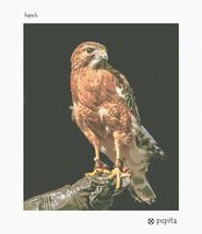 Pepita Needlepoint Canvas: Hawk, 10&quot; x 12&quot; - £68.73 GBP+