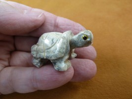 Y-TUR-LA-46 Gray White Tortoise Land Turtle Soapstone Gem Figurine Baby Turtles - £6.79 GBP