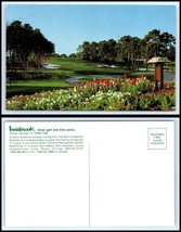 FLORIDA Postcard - Tarpon Springs, Innisbrook Resort Estate O40 - £2.32 GBP