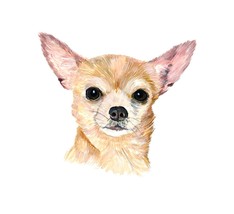 Chihuahua Dog Vinyl Decal Sticker Truck Boat Car Cooler Cup Tumbler - $132.10 MXN+