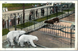 Bear Pit Lincoln Park Zoo Chicago Illinois Bear Postcard - £4.11 GBP