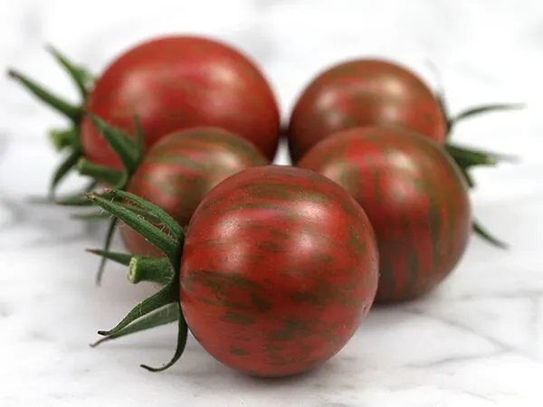 Purple Bumblebee Tomato Organic 20 Fresh Seeds - $17.99