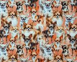 Cotton Chihuahua Dogs Pets Puppies Packed All Over Fabric Print by Yard ... - $15.95
