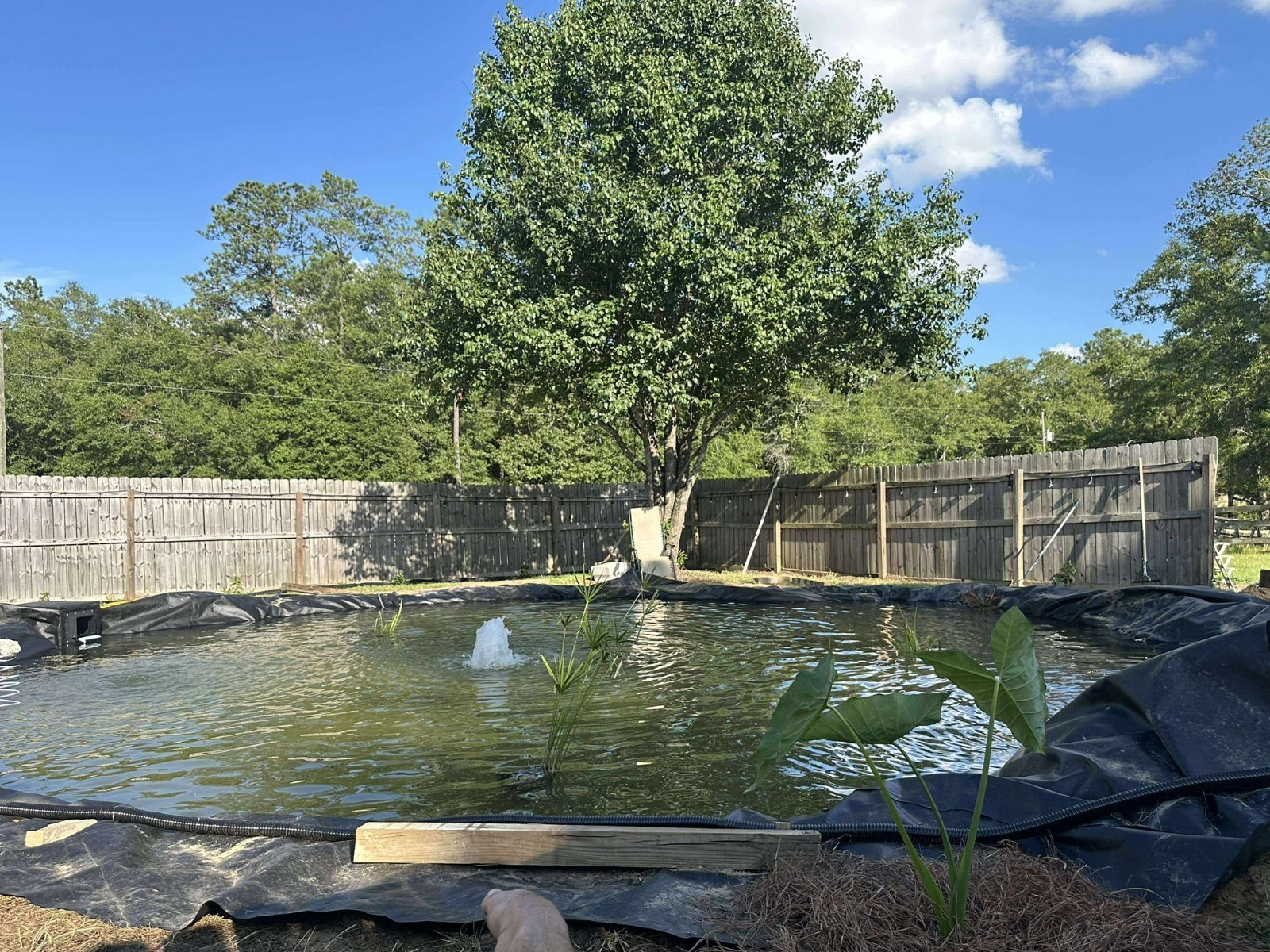 Pond liner, 30 mill, HDRPE,8X40,UV Resistant,Strong,Durable,Fish pond,Pools. K9 Item image 9