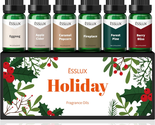Fragrance Oil, Holiday Set of Scented Oils, Soap &amp; Candle Making Scents,... - $30.54
