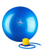 Professional Grade Stability Ball - Pro Series 1000 Lbs. Anti-Burst 2000... - $31.36