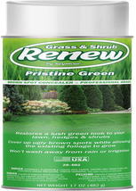 Seymour 20-602 Grass and Shrub Renew Spray Paint, Pristine Green (17 Oz.) - £12.87 GBP