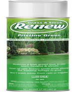 Seymour 20-602 Grass and Shrub Renew Spray Paint, Pristine Green (17 Oz.) - £12.84 GBP