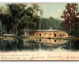 Old Paper Mill Passaic River Newark New Jersey NJ UDB Postcard W11 - £3.90 GBP