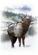 30&quot; X 44&quot; Panel Elk Wildlife Nature Call of the Wild Cotton Fabric Panel D475.82 - £11.28 GBP