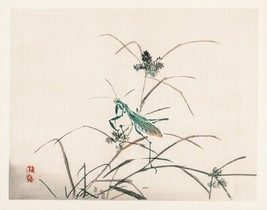 13041.Wall Decor Poster.Oriental home design.Kono Bairei Japan art.Grasshopper - $16.20+