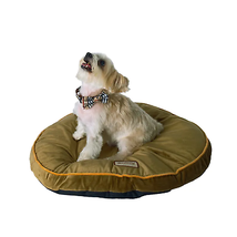 Armarkat 25x25 inch Poly Fill Dog Cushion Bed - £43.11 GBP