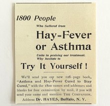 Dr Hayes Asthma Medicine 1894 Advertisement Victorian Buffalo NY ADBN1ff - £7.81 GBP