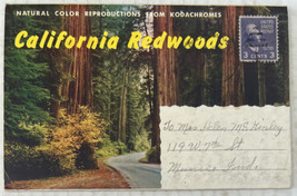 California Redwoods 14 Postcard Souvenir Folder - Posted - £7.75 GBP