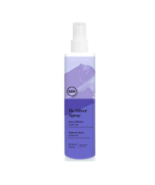 360 Hair Professional Be Silver Spray, 8.45 fl oz - $32.00