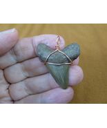 (S228-2) nice 1-5/8&quot; Fossil MEGALODON Shark Tooth copper wired pendant J... - €34,99 EUR