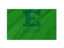 Eastern Michigan Eagles NCAA Flag 3x5 ft Banner New - £12.01 GBP