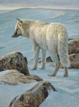 White Wolf Arctic Evening Cross Stitch Pattern NeedleWork***L@@K*** - $2.95