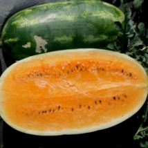 Easy To Grow Seed - 10 Seeds Tendersweet Orange Watermelon - £3.17 GBP