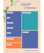 Pembe Yeşil Renkli Modern Haftalık A4 Planlayıcı Program - $4.00