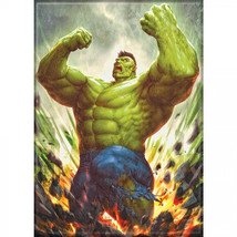 The Incredible Hulk Nakayama Magnet Multi-Color - £8.77 GBP