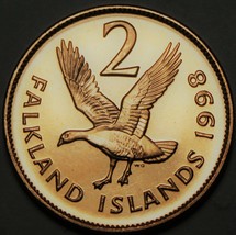 Falkland Islands 2 Pence, 1998 Gem Unc~Upland Goose - £3.28 GBP