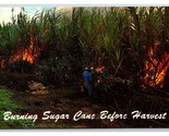 Burning Sugar Cane Before Harvest Hawaii HI UNP Unused Chrome Postcard V9 - £2.33 GBP