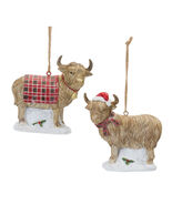 Highland Cow Ornament (Set of 6) - 339176 - €79,04 EUR