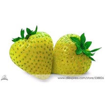 1 Professional Pack Approx 200 Seeds Sweet Yellow Alpine Strawberry Seed Non-Gmo - £5.49 GBP