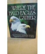 Where the Bald Eagles Gather by Dorothy Hinshaw Patent (1984, Hardcover) - $19.00