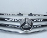 Grille 251 Type R550 Upper With Chrome Trim Fits 06-08 MERCEDES R-CLASS ... - £312.69 GBP
