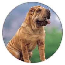Sharpei : Gift Coaster Dog Pet Funny Cute Canine Pets Dogs - £3.89 GBP