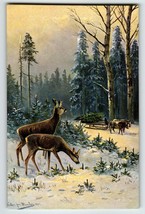 Postcard Deer Man Hauls Christmas Tree Cattle Sled Signed Muller Germany KB 1329 - $21.85