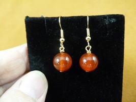 (EE447-c) 14mm Orange CARNELIAN bead gemstone dangle gold wire hook earrings - £12.69 GBP