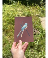 Scissortailed Flycatcher Individual Post Card - $93.47 MXN
