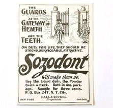 Sozodont Toothpaste Dentrifice 1897 Advertisement Victorian Dental ADBN1A10 - $375.23 MXN