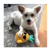 Dog Toys 8 Inch Hawaiian Pineapple Soft Plush Squeaker Crinkle Choose Bo... - $282.09 MXN+