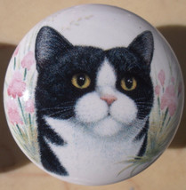 Cabinet Knobs Monica Heller Cole Black and White cat - £4.06 GBP