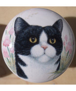 Cabinet Knobs Monica Heller Cole Black and White cat - $5.20